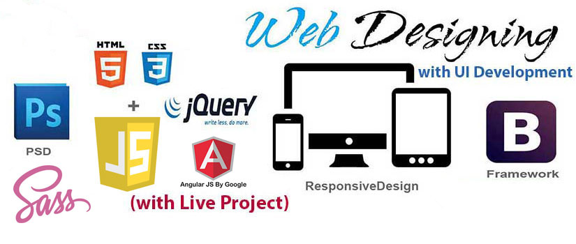 Important facts about web designing training to become a professional web designer